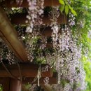 등나무 라탄 소품만들기 이미지