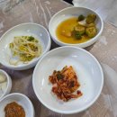 울산 삼산동 맛집 송림생오리참숯불구이 재방문 후기
