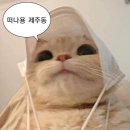 태양주유소 | [제주] 4박 5일간의 기록