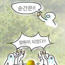 라잇요라이프