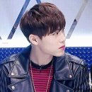 우진우드