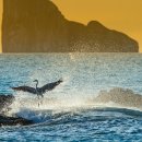 LEVEL UP PC CAFE 이미지