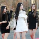 슈화 카카오 검색결과