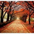 풍요로운 기다림 이미지