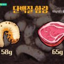 성유농장 네이버블로그