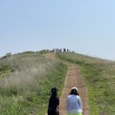 동아대 진 태권도 이미지