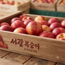 대진농장 | 7월의 보석: 품종별 복숭아 완벽 가이드