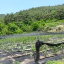 죽곡농장 이미지