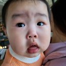 남나리전복 | 기장 탐복 웨이팅이 너무 길어서 가보게된 남나리 전복맛집과 디저트로 카페 헤이든 갔다온 후기