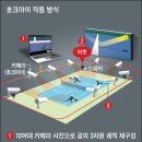윔블던테니스