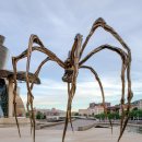 25/07/27 [당신의 유리알] 기억 저 깊은 곳에(하) - ‘마지막 순간 손 잡으신 어머니, 받았던 상처도 그리움으로 남아’ 이미지