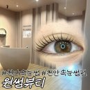 슈가커리어 | [천안 불당동 속눈썹펌 추천] 불당동 원썸뷰티 손상 없는 클리닉펌으로 인형 눈매 완성!