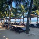 비보약국 이미지