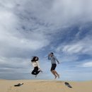 시드니스포츠 | 시드니 포트스테판 투어 후기 (샌드보딩·돌고래 크루즈 포함)