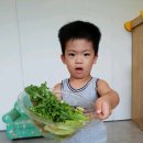 아삭톡톡 Daum카페