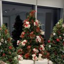 별빛정원 | 전남 해남 가볼만한곳 산이정원 별빛페스타 다녀온 후기