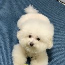 영지메디컬 이미지