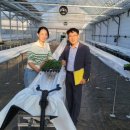 엘케이팜 이미지