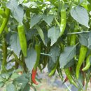 청림동-7 이미지