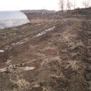 고은농장 이미지