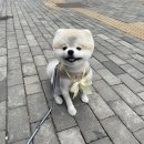 멈무살롱 네이버블로그