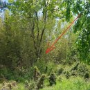 모아초 모서분교 이미지