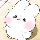 이너피스 이미지