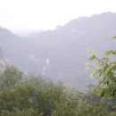 월악들국화 | [스크랩] 060730 월악산 국립공원 만수봉 산행기 : 한 송이 국화꽃을 어렵게 피우다.