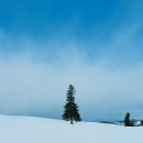 JR AUTO | 겨울 홋카이도 3박 4일 여행기: 일정, 비용, 동선, 꿀팁 등등 ℹ️