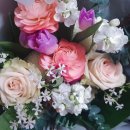 탐나는부동산중개 이미지