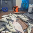 씨엔텔 민박 이미지