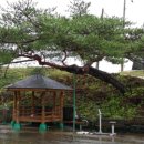 주왕산팬션민박 이미지