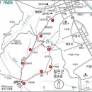 낙성대동-12 이미지