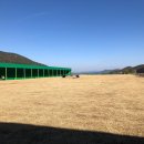 딩가댕댕 이미지