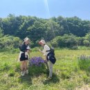 사상스마트병원 이미지