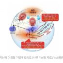 “지구온난화→지구가열화, 기후변화(이상기후)→기후위기” 기상청이 입증했다 이미지