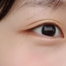 퍼키걸 이미지