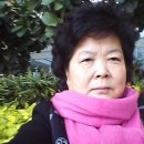 성남시청 (동관) 이미지