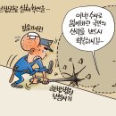 1143 한국보험신문