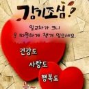 행복한 하루 이미지