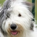 24시 센텀동물메디컬센터 연산점 이미지