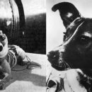 우주동물병원 이미지