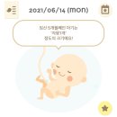 페트롤플레이스