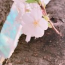 (주)유클로버 이미지
