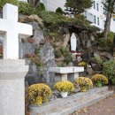 용산-137 이미지