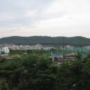 정정옹주 묘 이미지