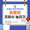 유기농트래픽