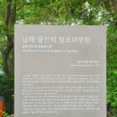 방조림민박 | 남해 물건리 방조어부림과 물건해안, 여름에도 시원했던 남해 산책길