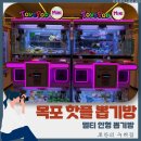 뽑기방 이미지
