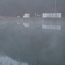 아름답개 이미지